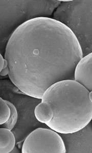 Nitrogen Atomized Spherical Aluminum Powder