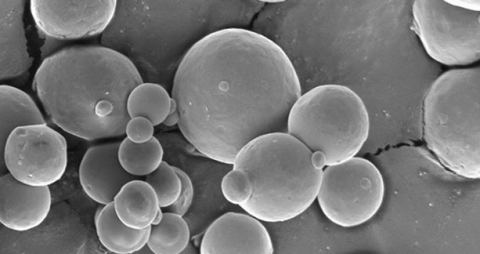 Nitrogen Atomized Spherical Aluminum Powder