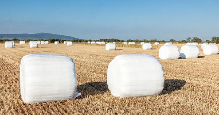 Agriculture