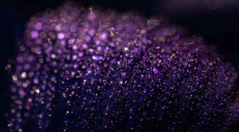 What is the difference between glitter powder and pearl powder?(图1) 1-220226152041363.jpg