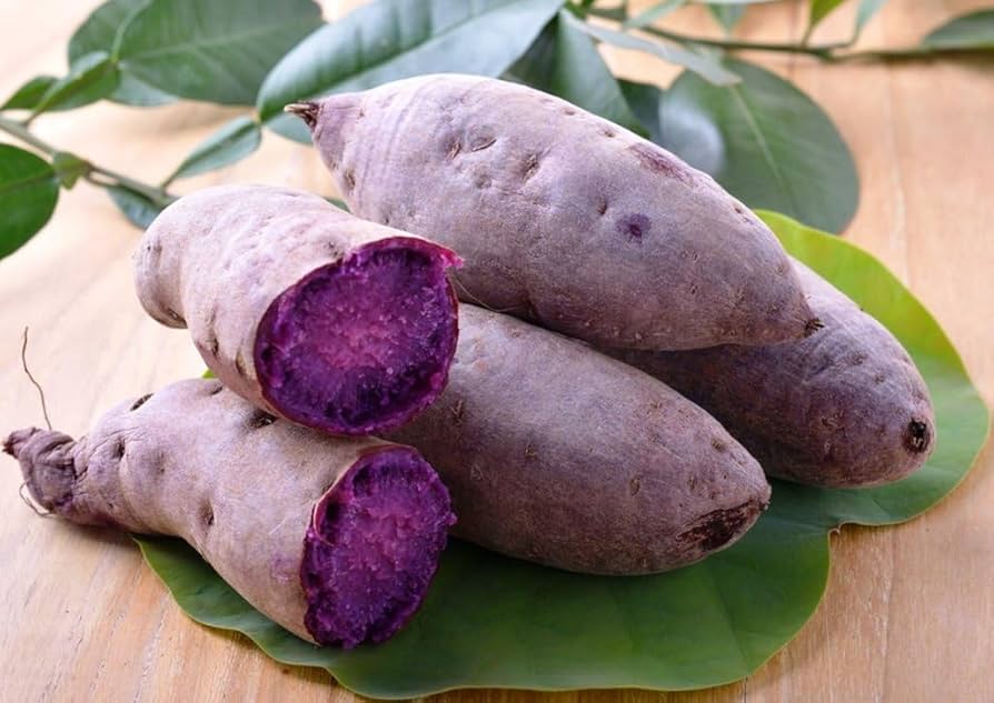 Application and technological progress of purple sweet potato pigment in the food industry(图1)